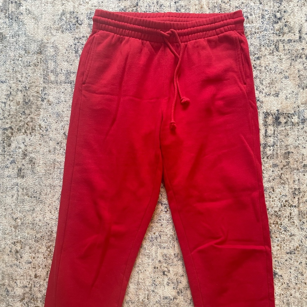 ARITZIA TNA SWEATS
